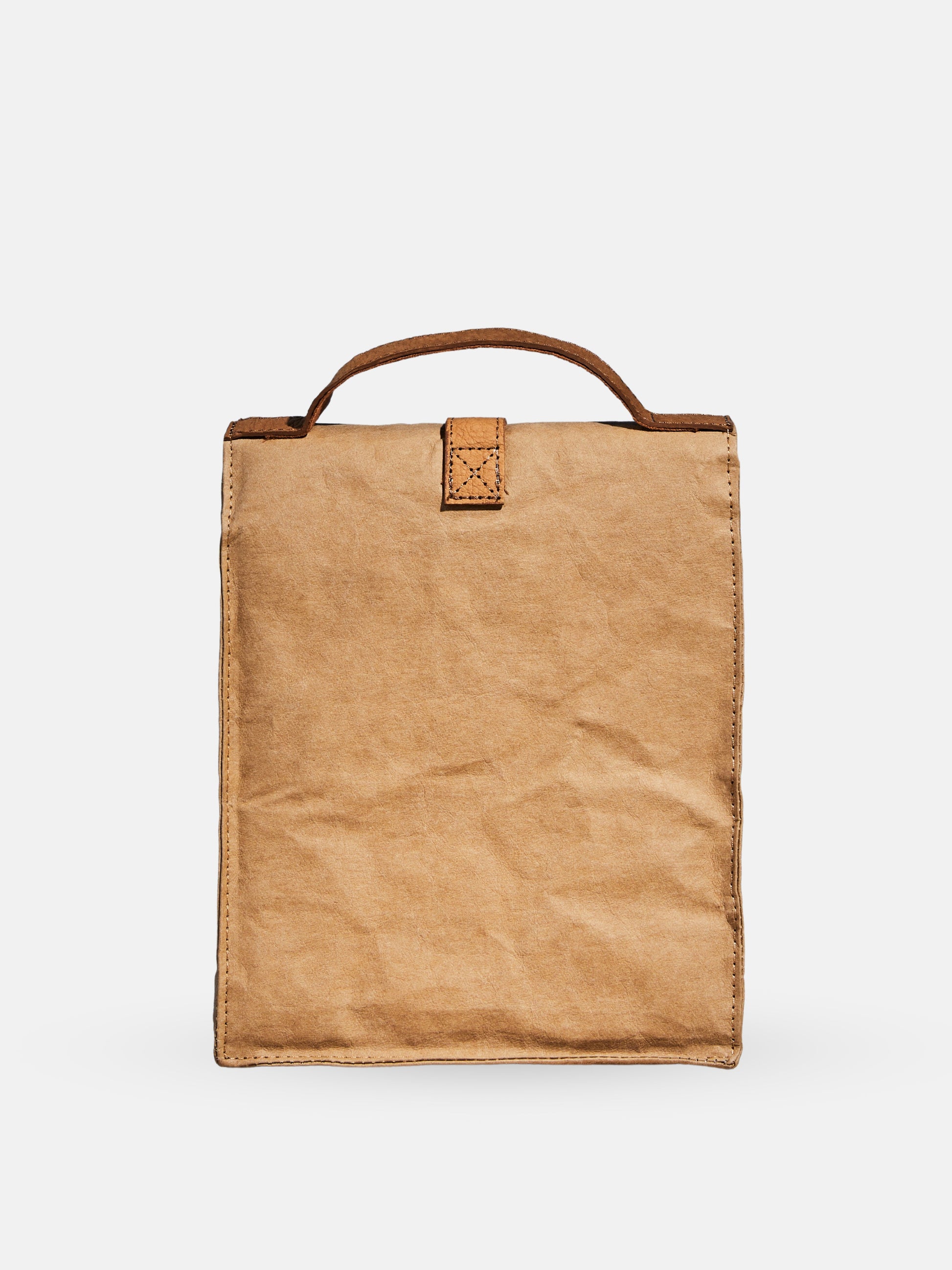 Paper Bag Lunch Cooler-3